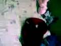 videos de SHANATICO!!!003.3gp