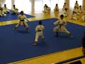 Karate (bunkai, goshin)