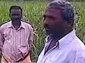 Dalit land with ????