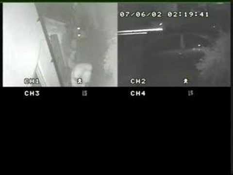 Chav theives on CCTV Part II. 