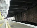 ~New~ [MTR] Meeting Early VF08 at Tai Wo Station .