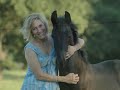 Wind Spirit Friesians ~ Wind Spirit Friesians ~