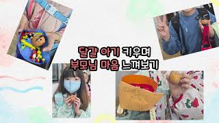 [인성] 인성이 자라는 효 실천하기 이미지