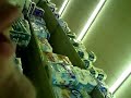 the bilo stalker, REVENGE!