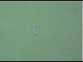 Game Motion Graphic Assignment 0820206