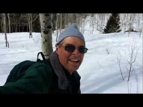 Snowshoe Utah: Beartrap Fork