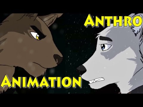 Anthro Wolf and Cat Animation