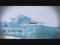 pr�sentation de l'exp�dition 2007 sagax - revo - ecopolaris durant laquelle des chercheurs du grea ont �tudi� les cons�quences du r�chauffement climatique sur la faune et le flore du groenland. science on tourne, copyright france 2 / xd productions