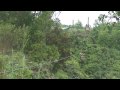 Princeville Ranch Adventures Zipline - YouTube