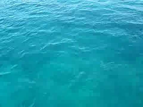 See video