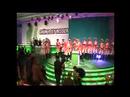 Rosa Funken auf dem Bundesparteitag der Gr�nen 2006 -Teil2