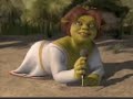Algerian Shrek dance