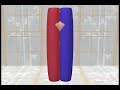 The Double Torus View of the Human Body Definition Video