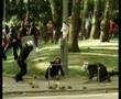 A.V.KLASS WAR-GOTEBORG 2001-1º PARTE.