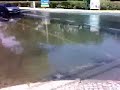 Sewer Rupture Manele-Gratis.net