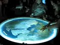 Multi-Touch Table Multi-Touch Table