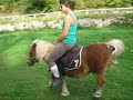 Mon ptit Poney :)