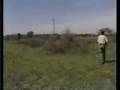 Aslan av�-Safari belgeseli video.