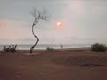 Indonesia - Chris Rea - Fool