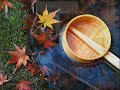 Autumleaves Autumleaves