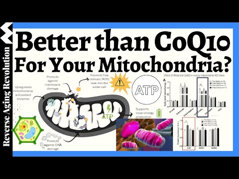 Outperform CoQ10? Human Trials Reveal A Superior Mitochondrial Supplement
