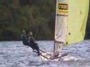 RS800 Dinghy ACTION Lord Birkett event 2007