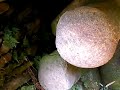 宮山古墳
