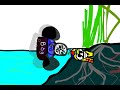 Nitrogen Cycle. AP Environmental Science project.