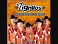 Tigrillos El Bata Bata Video and Lyrics