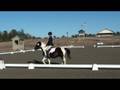 videos de Sam Campbell doing Dressage at Poplar Place Farm