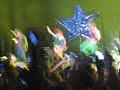 HSBC ARENA 09.05.2008 HSBC ARENA 09.05.2008