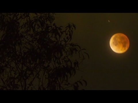 Blood moon blows up social media