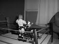 a few wrestling animated moves