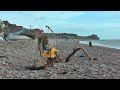 boy in the yellow coat.avi