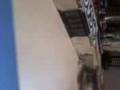 fingerskateur30