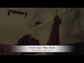 House Crashers with Nana.mov