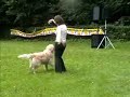 Dog Dancing