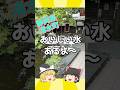 富士山の湧水を楽しめる公園【柿田川公園＠静岡県】 #shorts
