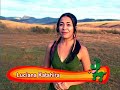 Este bicho � o bicho - s�rie c�es - Luciana Katahira