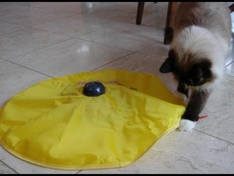 Undercover Mouse Electronic Cat Toy Review 0 Undercover Mouse Electronic Cat Toy Review