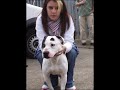 BRING BRUCE HOME!! BRING BRUCE HOME!!