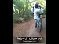 Petey at mail box trail in Santa Cruz