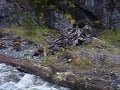 Sketchy Creek Ford