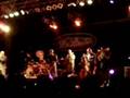 Giuliano Palma & the Bluebeaters - Come le viole