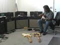 Gjika E84L Amp, Tele, Les Paul, Strat