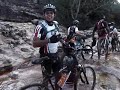 cachoro do mato na chapada