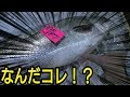 男3人で市場に行ったら衝撃の魚ばかりだった『きまぐれクック&渥美拓馬』【185本目】