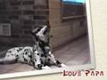 Learn to love mama