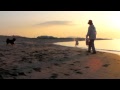 夕焼けワンワン日本海