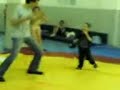 stunt-chechen-kidarzo.html